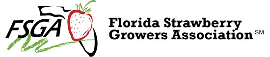 Florida Strawberry Logo