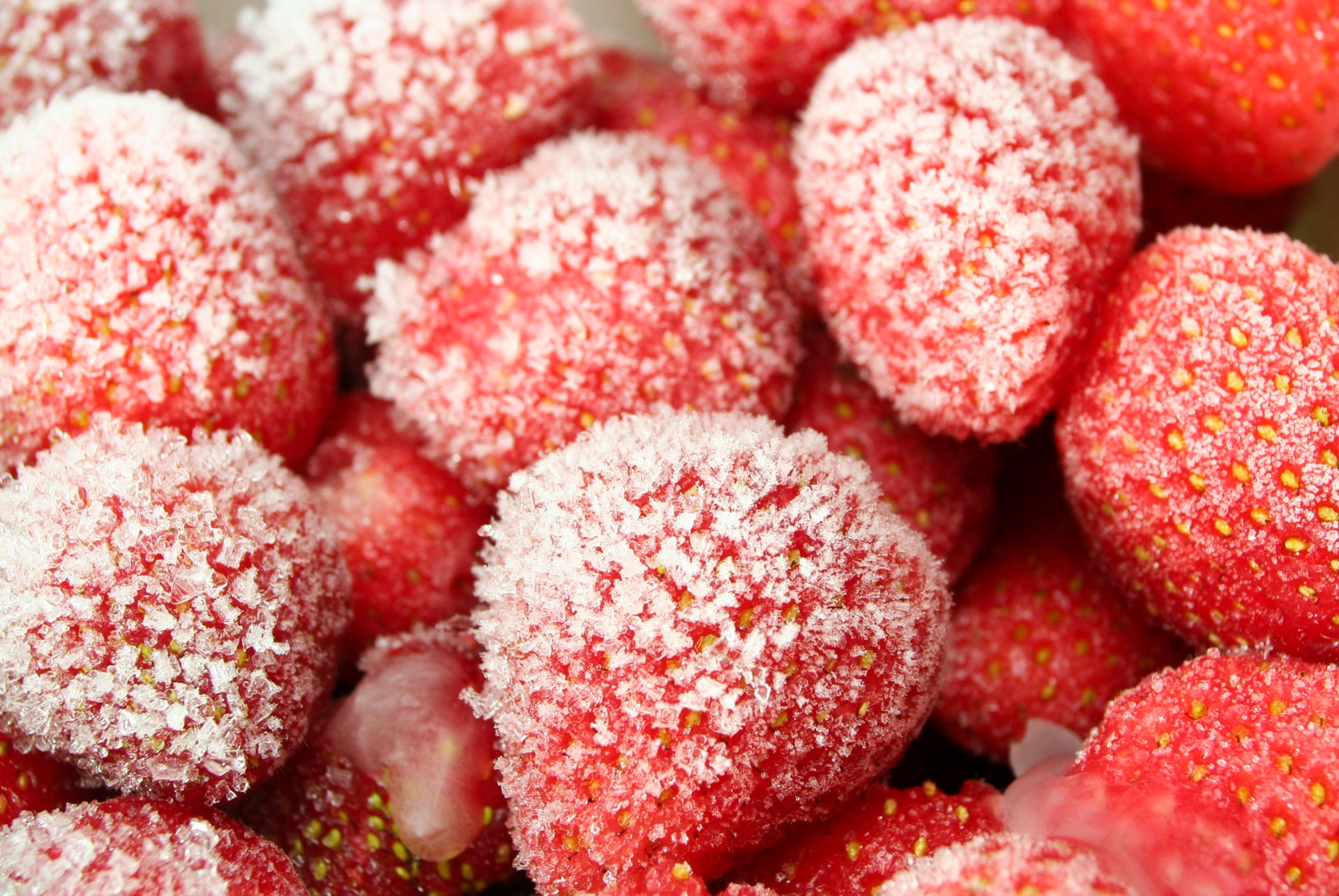 Icy Winter Strawberries