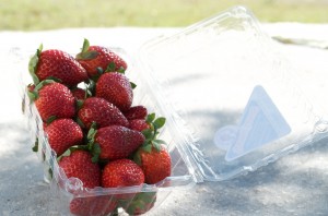 Strawberries in their clamshell container