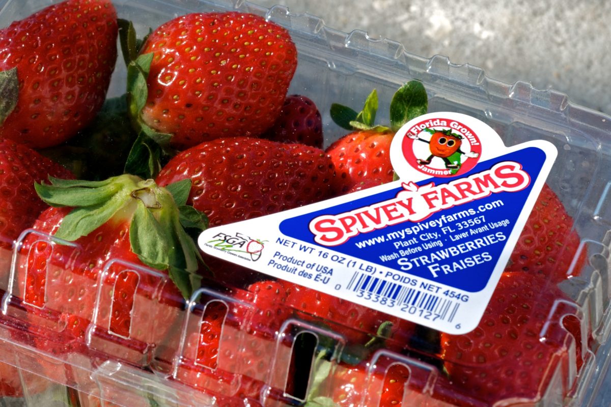 Jammer on Florida strawberry farm Spivey Farms clamshell container.