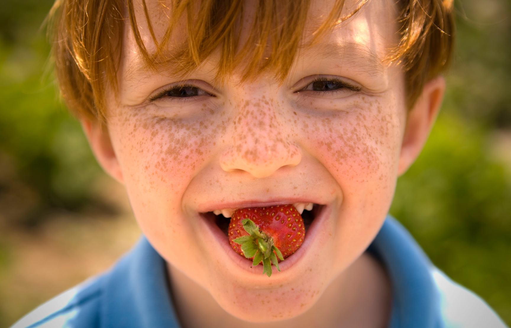 Reasons To Eat Strawberries Florida Strawberry