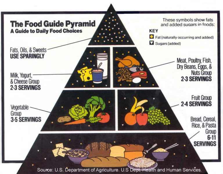 USDA Food Pyramid Florida Strawberry