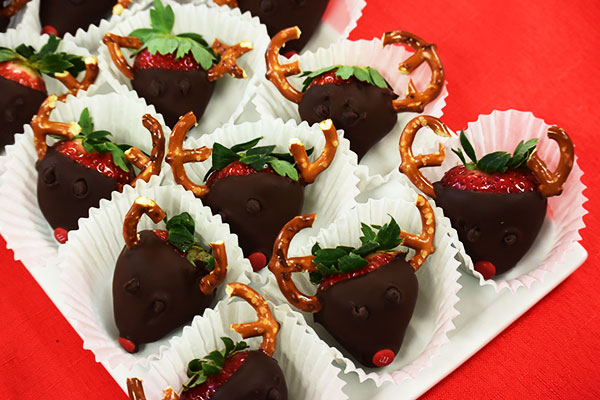 Chocolate dipped strawberry reindeer