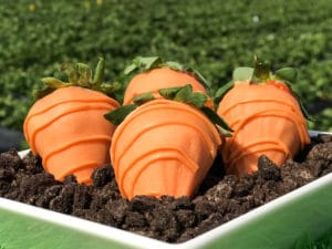 Chocolate Covered Carrot Strawberries
