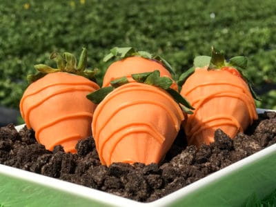 Chocolate Covered Carrot Strawberries