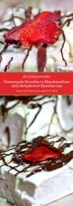 Homemade Strawberry Marshmallows with Dehydrated Strawberries by Recipes, Food, and Cooking