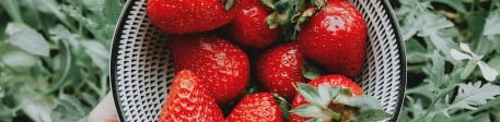 Strawberry Fest 2022