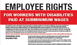Special Minimum Wages for Workers with Disabilities