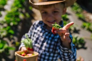 A child holding a basket of strawberries and smiling.