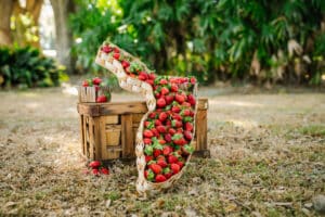 Strawberries inside of a Florida shaped basket.